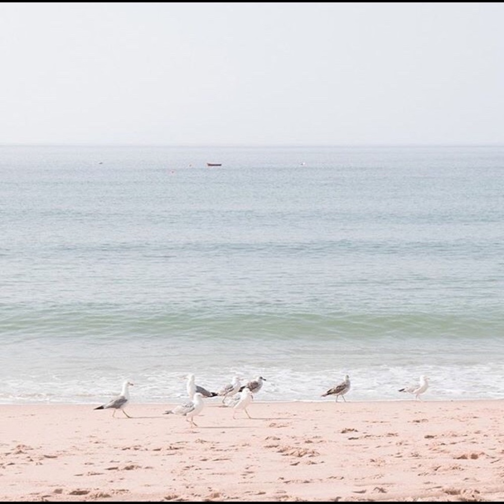 Meet your Posher, Lily